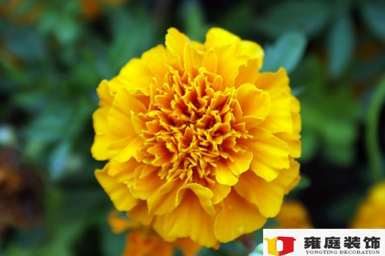 深圳裝飾設計公司.jpg